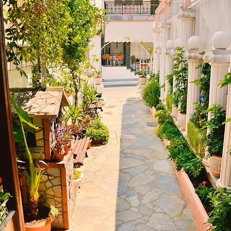 Hotel Dimitra Zeus *