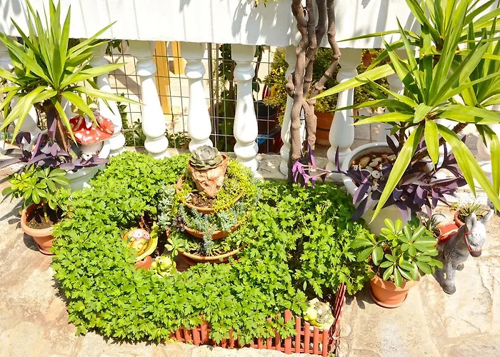 Dimitra Zeus Leptokaryá