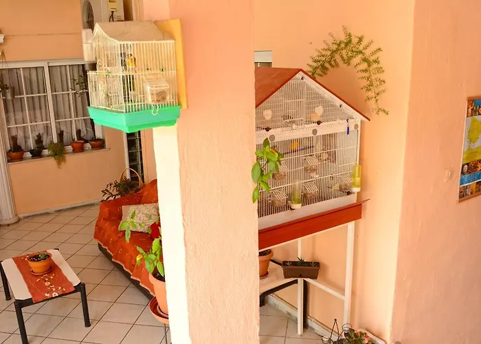 Dimitra Zeus Leptokaryá